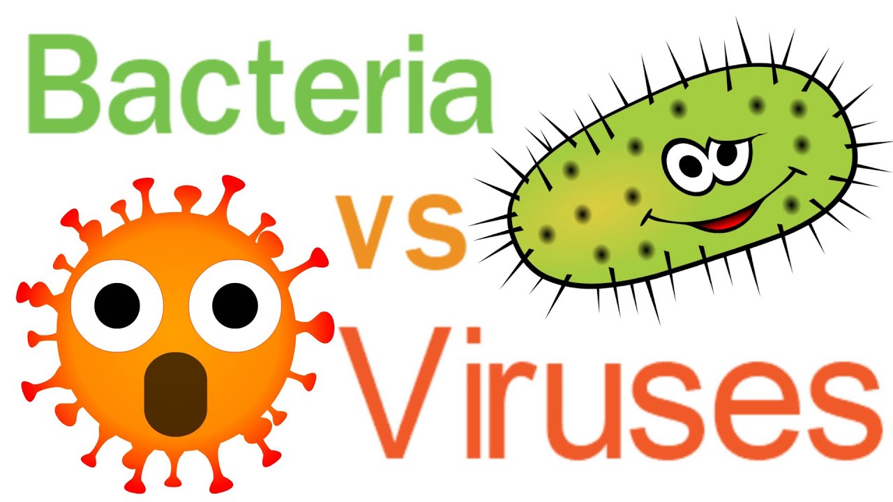 Erot bakteeri- ja virusinfektioiden välillä